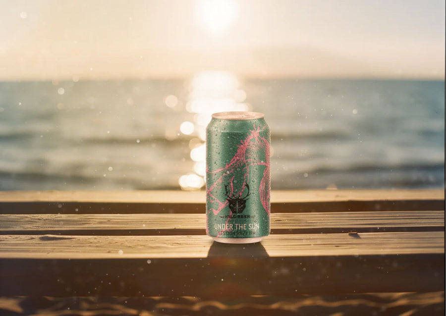 Summer Solstice Spotlight: Under the Sun Hazy IPA