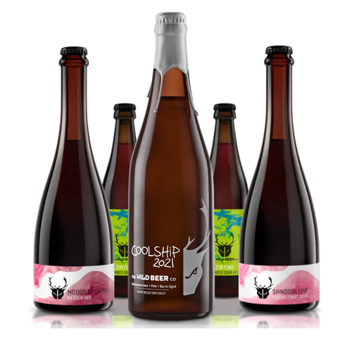 The Sour Beer Bundle