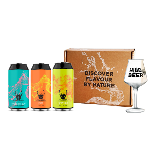 Teku Glass Beer Gift Set